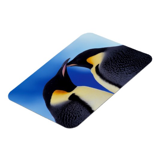Antarktis, Kaiserpinguine Magnet (Linke Seite)