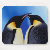 Antarktis, Kaiserpinguine Mousepad (Vorne)