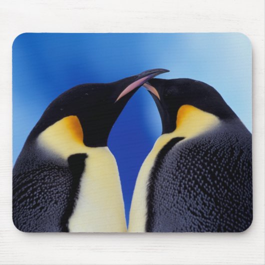 Antarktis, Kaiserpinguine Mousepad (Vorne)