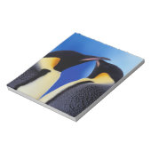 Antarktis, Kaiserpinguine Notizblock (Rotiert)