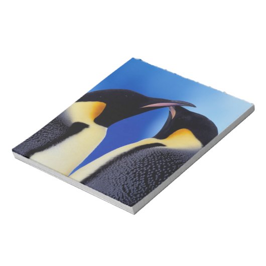 Antarktis, Kaiserpinguine Notizblock (Rotiert)