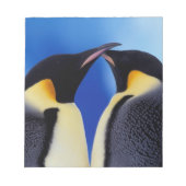 Antarktis, Kaiserpinguine Notizblock (Vorderseite)
