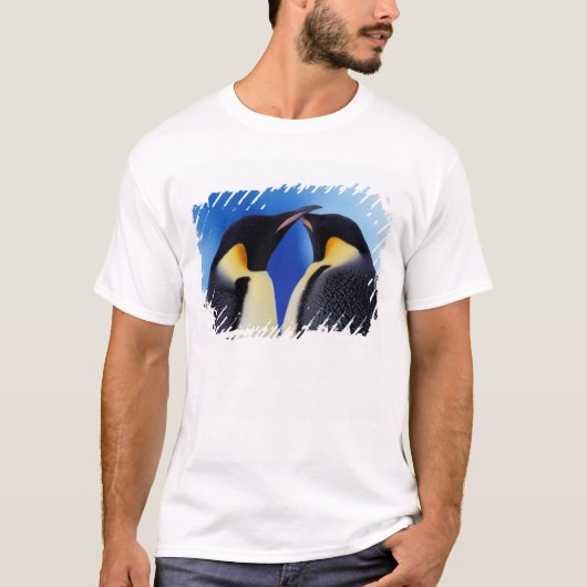 Antarktis, Kaiserpinguine T-Shirt (Vorderseite)