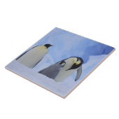 Antarktis. Kaiserpinguine und Küken Fliese (Seite)