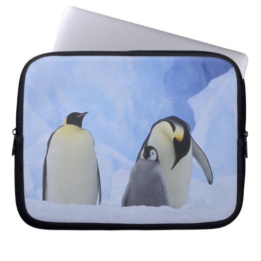 Antarktis. Kaiserpinguine und Küken Laptopschutzhülle (Vorderseite)