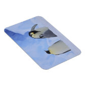 Antarktis. Kaiserpinguine und Küken Magnet (Rechte Seite)