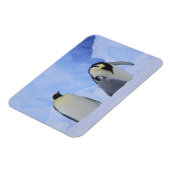 Antarktis. Kaiserpinguine und Küken Magnet (Linke Seite)