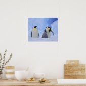 Antarktis. Kaiserpinguine und Küken Poster (Küche)