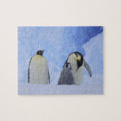 Antarktis. Kaiserpinguine und Küken Puzzle (Horizontal)