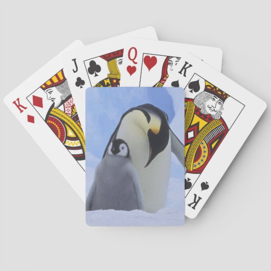 Antarktis. Kaiserpinguine und Küken Spielkarten (Rückseite)