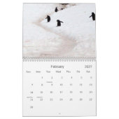 Antarktis - Kalender 2020 (Feb 2027)