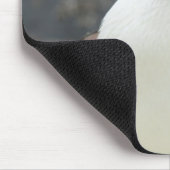 Antarktis Mousepad (Ecke)