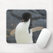 Antarktis Mousepad (Mit Mouse)