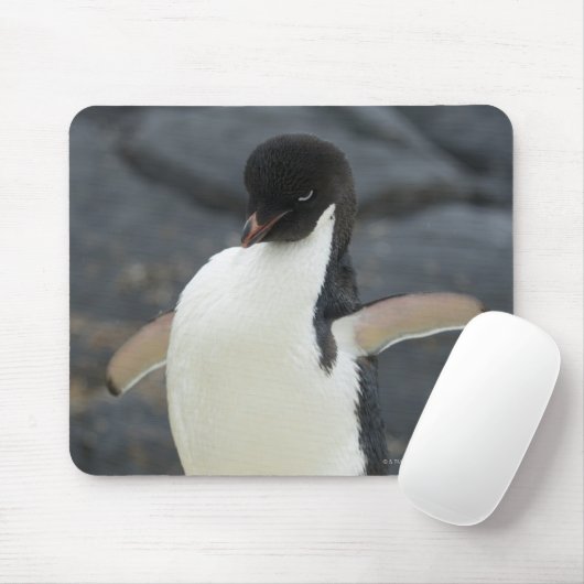 Antarktis Mousepad (Mit Mouse)