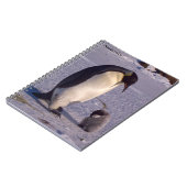 Antarktis Mutterpenguin streichelt Baby Notizblock (Linke Seite)