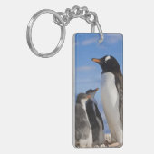 Antarktis, Neko Cove (Hafen). Gentoo Pinguin 2 Schlüsselanhänger (Vorderseite links)