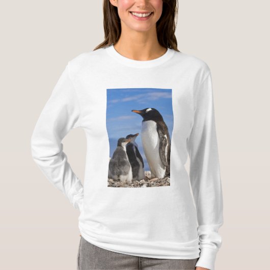 Antarktis, Neko Cove (Hafen). Gentoo Pinguin 2 T-Shirt (Vorderseite)