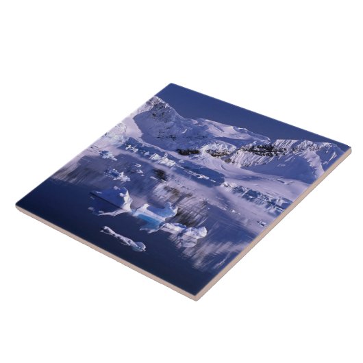 Antarktis, Paradise Bay Fliese (Seite)