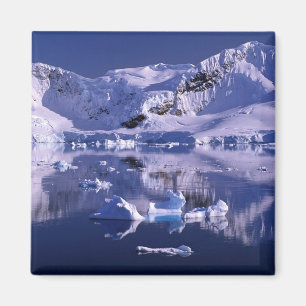 Antarktis, Paradise Bay Magnet