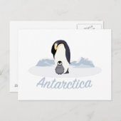 Antarktis Pinguine Postkarte (Vorne/Hinten)