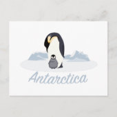 Antarktis Pinguine Postkarte (Vorderseite)