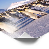 Antarktis, Pinguinherde Foto (Ecke)