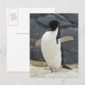 Antarktis Postkarte (Vorne/Hinten)