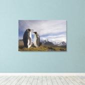 Antarktis, South Georgia Island UK), König Leinwanddruck (Insitu (Holzboden))