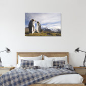 Antarktis, South Georgia Island UK), König Leinwanddruck (Insitu (Schlafzimmer))