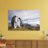 Antarktis, South Georgia Island UK), König Leinwanddruck (Insitu (Wohnzimmer))