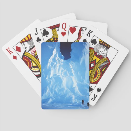 Antarktis Spielkarten (Rückseite)