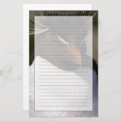 Antarktis, subantarktische Inseln, Süden 5 Briefpapier (Vorne/Hinten)