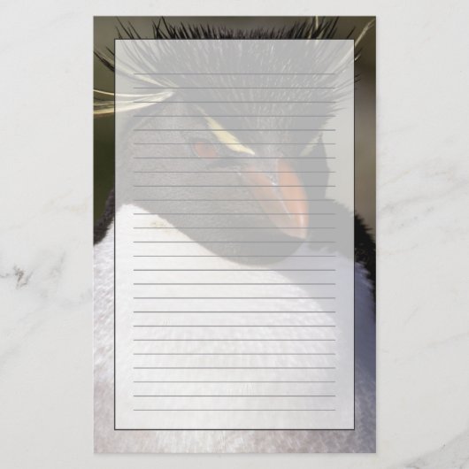 Antarktis, subantarktische Inseln, Süden 5 Briefpapier (Vorderseite)