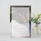 Antarktis, subantarktische Inseln, Süden 5 Briefpapier (Stehend Vorderseite)