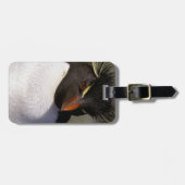 Antarktis, subantarktische Inseln, Süden 5 Gepäckanhänger (Vorderseite horizontal)