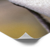 Antarktis, subantarktische Inseln, Süden 5 Poster (Ecke)