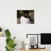 Antarktis, subantarktische Inseln, Süden 5 Poster (Heimbüro)