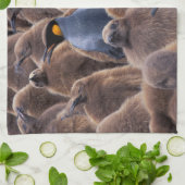 Antarktis, Süd-Georgien-Insel, Königspinguine Küchentuch (Gefaltet)