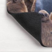 Antarktis, Süd-Georgien-Insel, Königspinguine Mousepad (Ecke)