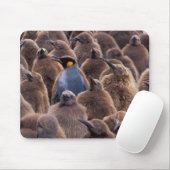 Antarktis, Süd-Georgien-Insel, Königspinguine Mousepad (Mit Mouse)