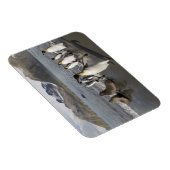 Antarktis, Südgeorgien (UK), Antarktis 2 Magnet (Rechte Seite)