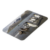 Antarktis, Südgeorgien (UK), Antarktis 2 Magnet (Linke Seite)