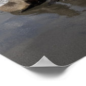 Antarktis, Südgeorgien (UK), Antarktis 2 Poster (Ecke)