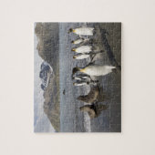 Antarktis, Südgeorgien (UK), Antarktis 2 Puzzle (Vertikal)