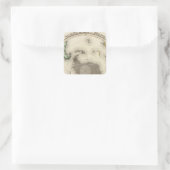 Antarktis, Südhalbkugel Quadratischer Aufkleber (Tasche)