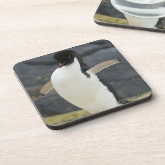 Antarktisch Getränkeuntersetzer (Linke Seite)