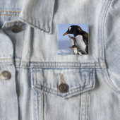 Antarktische Halbinsel, Neko Hafen, Gentoo Button (Beispiel)