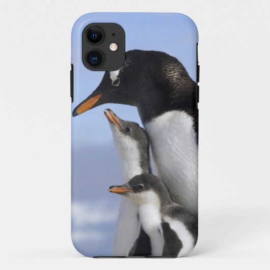 Antarktische Halbinsel, Neko Hafen, Gentoo Case-Mate iPhone Hülle (Rückseite)