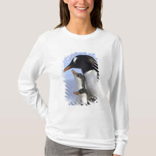 Antarktische Halbinsel, Neko Hafen, Gentoo T-Shirt