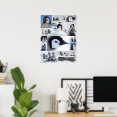 Antarktische Kaiserpinguin-Chicks FotoCollage Poster (Heimbüro)